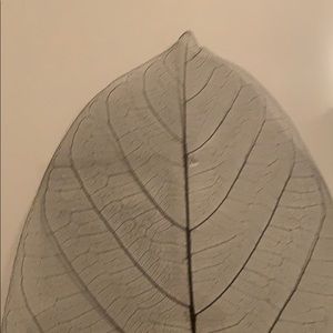 Meet your Posher, Travis